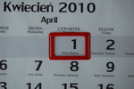 Indyk mnie napadł, czyli niezwykłe szkody