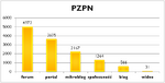 PZPN-typy-serwisow.png