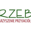 logo_pelne_kolor Turnieje szachowe Daj MATA chorobie