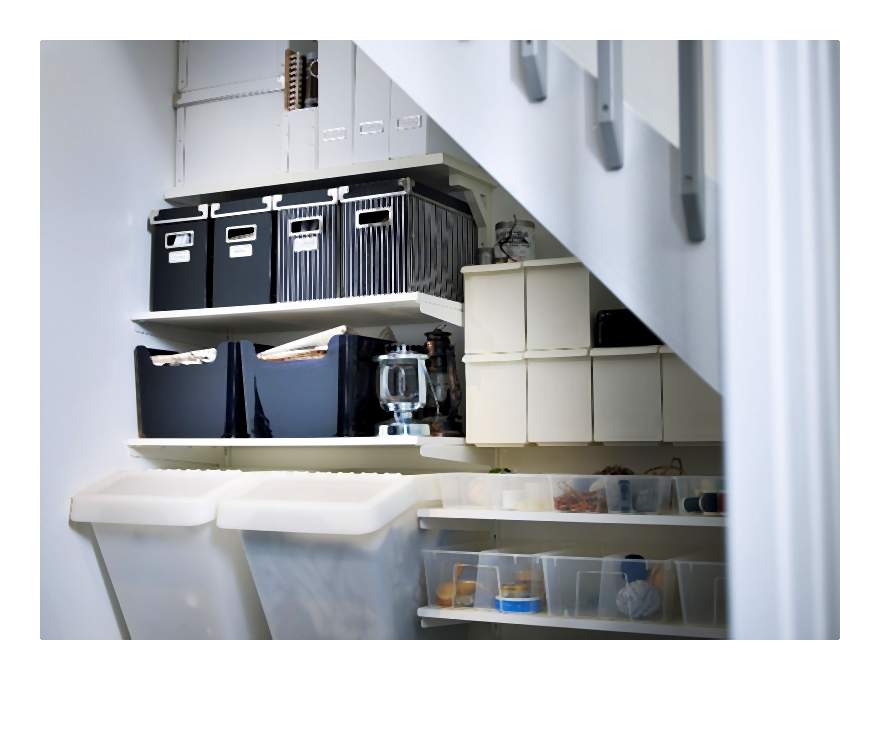 PhotoRepro: 1 Cecilia