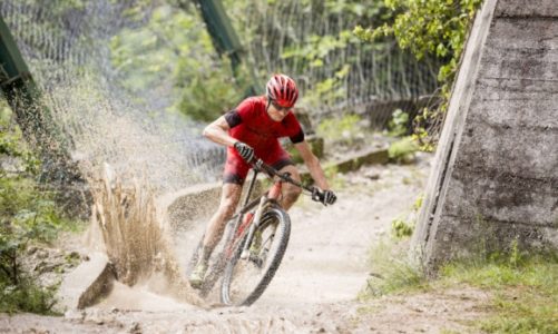 Rowery górskie marki Kreidler – modele 29er w kolekcji 2015