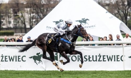 Bilety na warszawski tor nareszcie do kupienia w Internecie