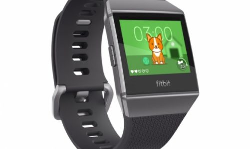 Fitbit Pet – wykorzystaj swoje kroki do opieki nad wirtualnym psem lub kotem