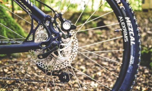 Rynek rowerów elektrycznych dynamicznie się rozwija