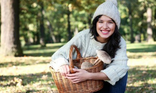 Sezon na grzyby – jak się przygotować?