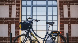 Użytkownicy Wavelo zimą wykręcają rekordy. Kolejna stacja na mapie! LIFESTYLE, Sport - System rowerów miejskich Wavelo oficjalnie zakończył sezon zimowy.