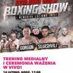 VIVO! zaprasza na trening medialny przed „Stalowa Wola Boxing Show”